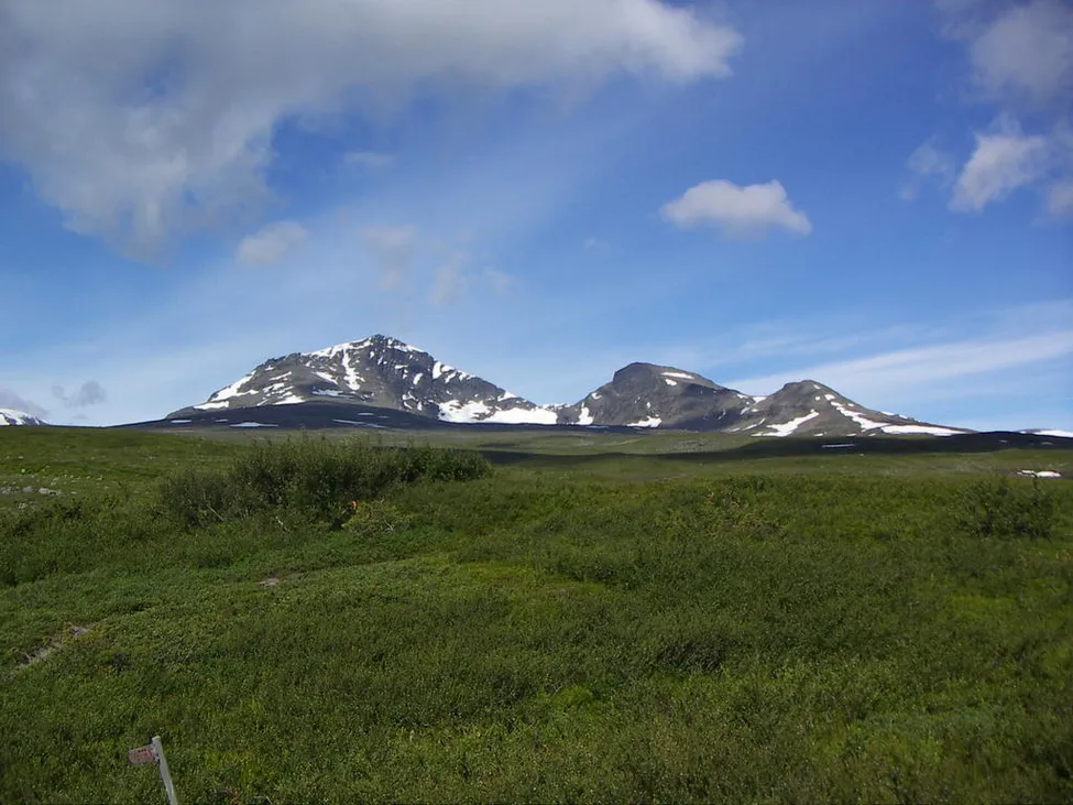 Klicka för att förstora
