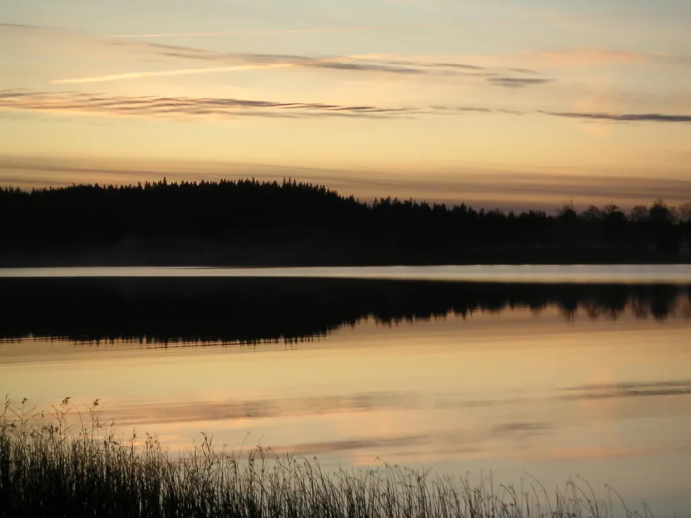 Klicka för att förstora