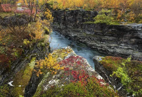 Det här är Årets pandabok 2025