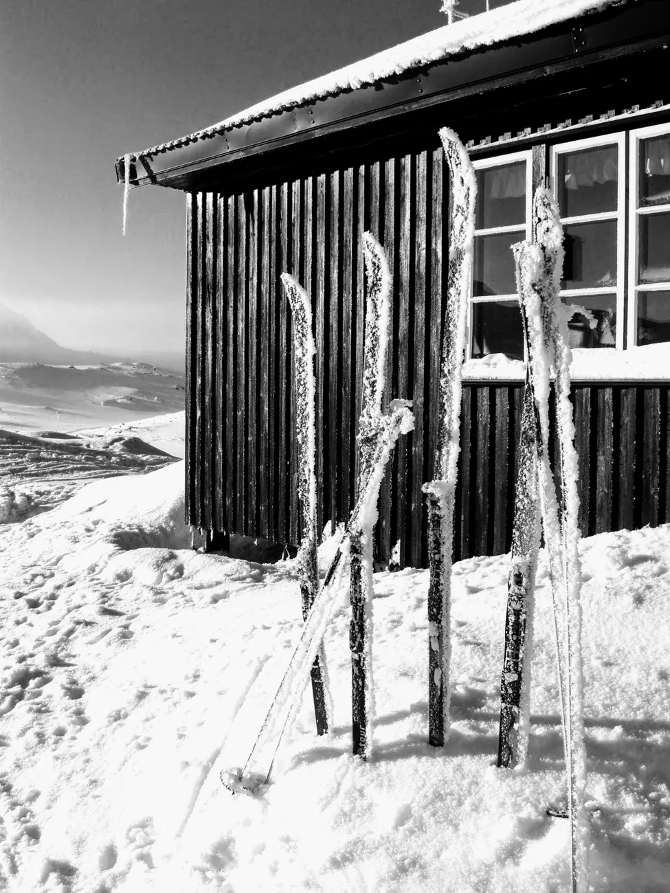 Klicka för att förstora