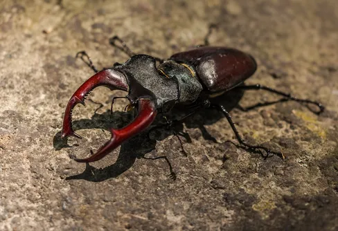 Intervju med jourhavande biolog