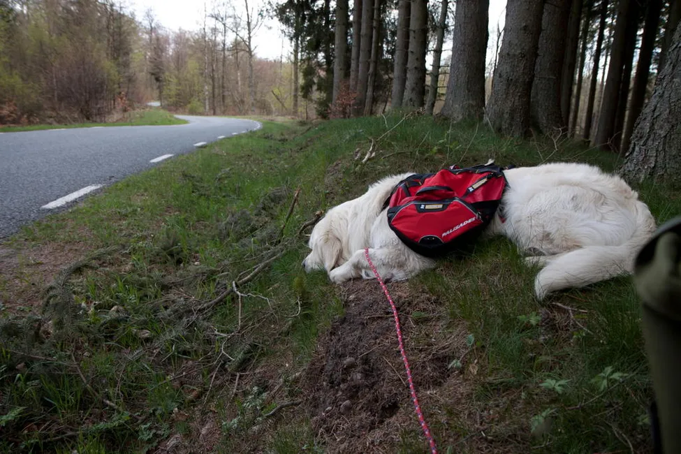Klicka för att förstora