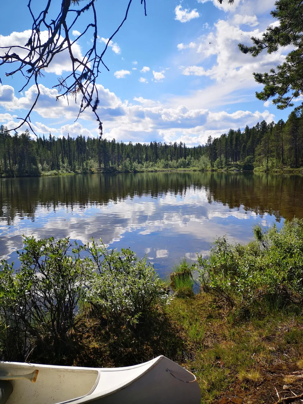 Klicka för att förstora