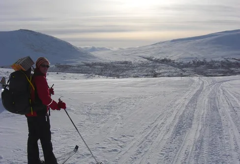 På glid med guldkant