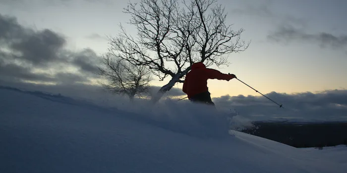 Klicka för att förstora