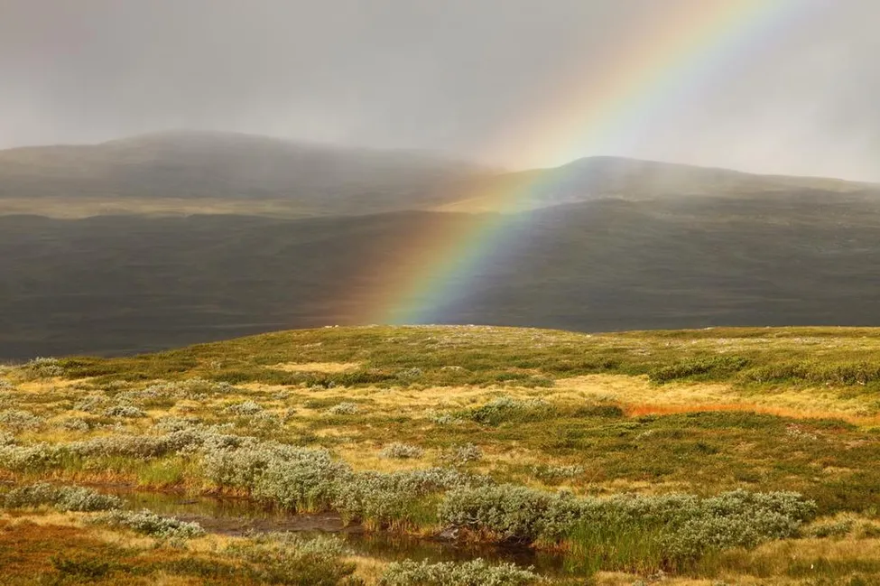 Klicka för att förstora