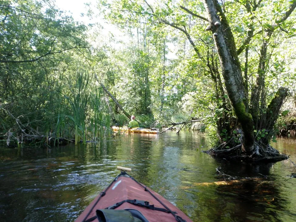 Klicka för att förstora