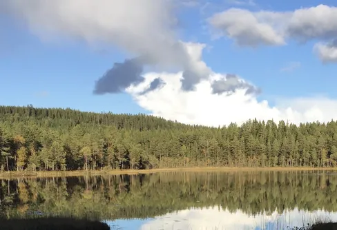 Ut och upplev ett naturreservat i helgen!