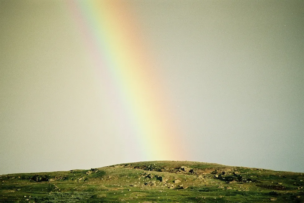Klicka för att förstora