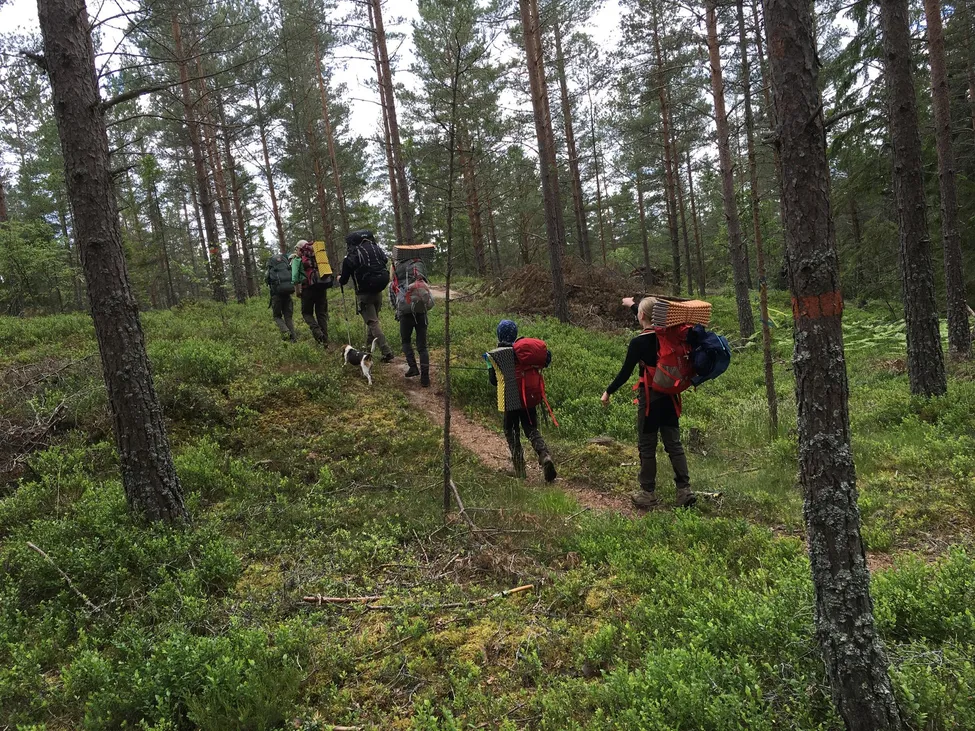 Klicka för att förstora