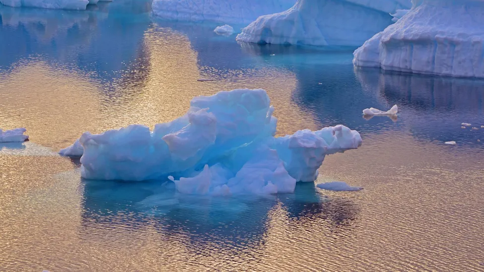 Klicka för att förstora