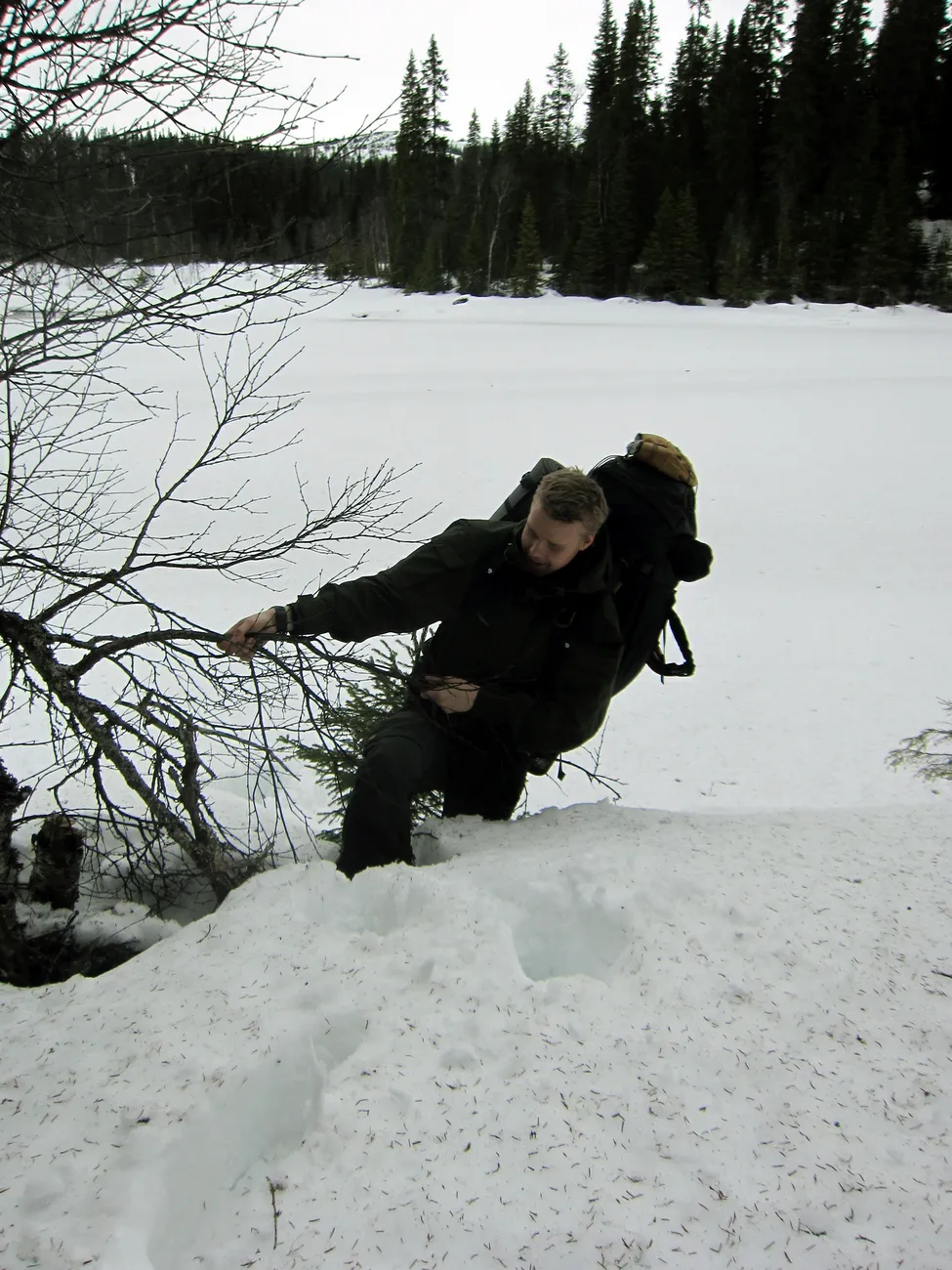 Klicka för att förstora