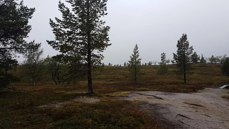 Klicka för att förstora