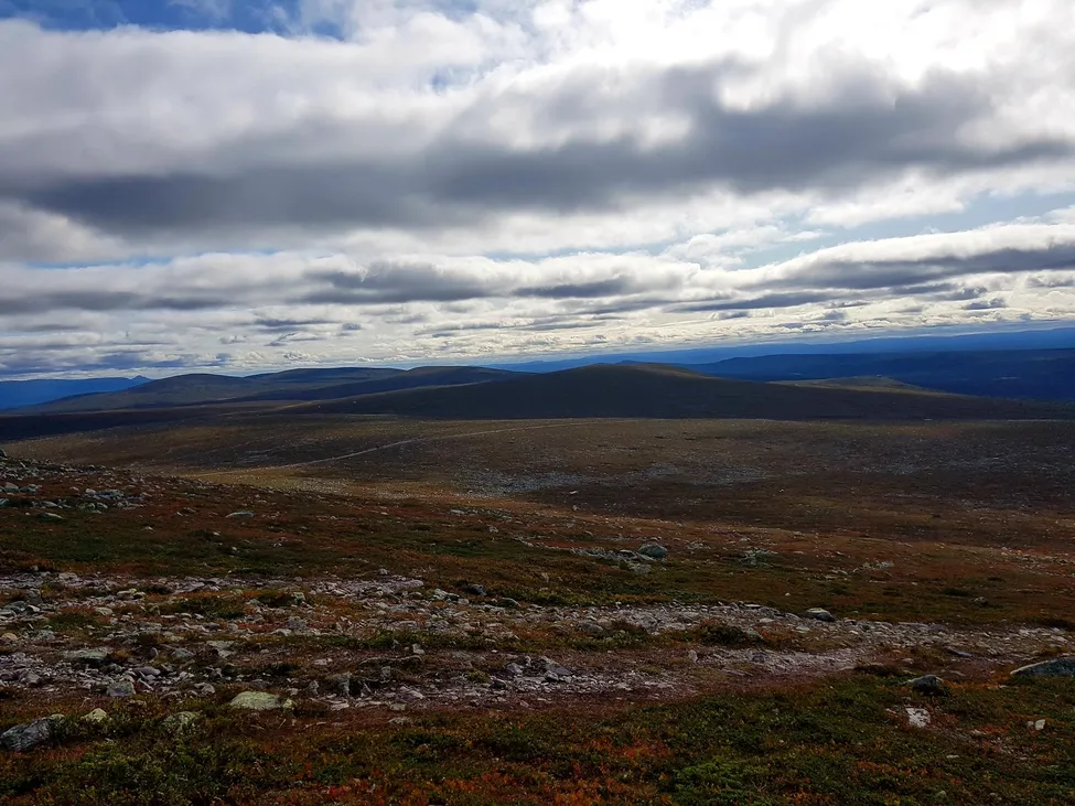 Klicka för att förstora