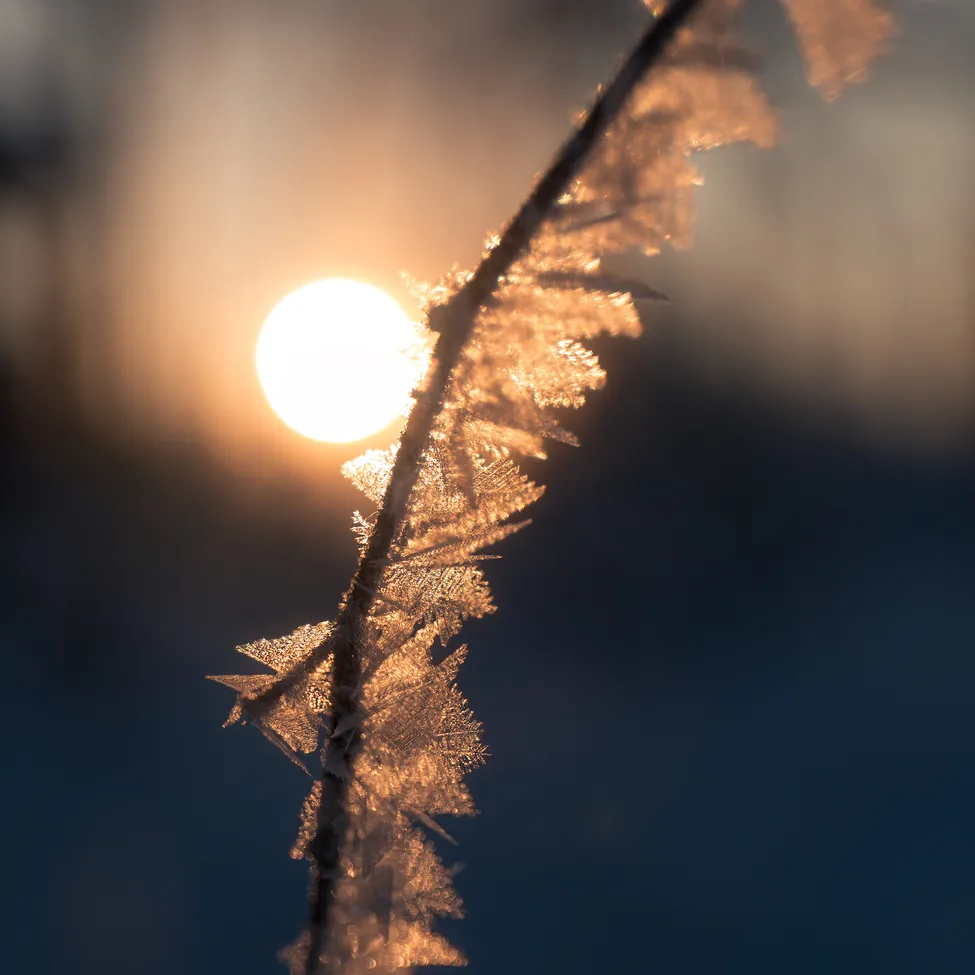Klicka för att förstora