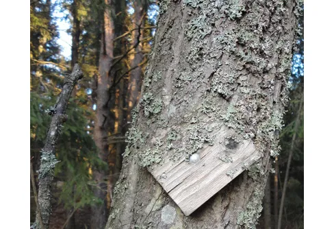 Ledmärkning, en ny variant