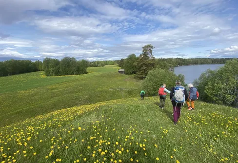 Orkidétur till Acksjön 250606