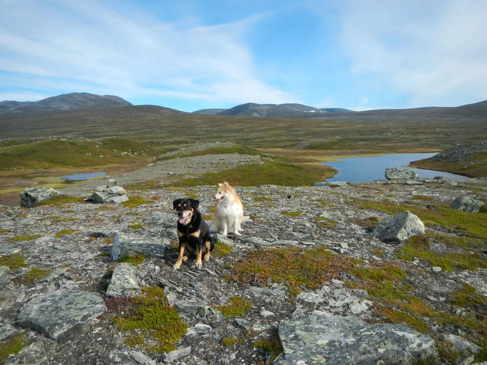 Klicka för att förstora