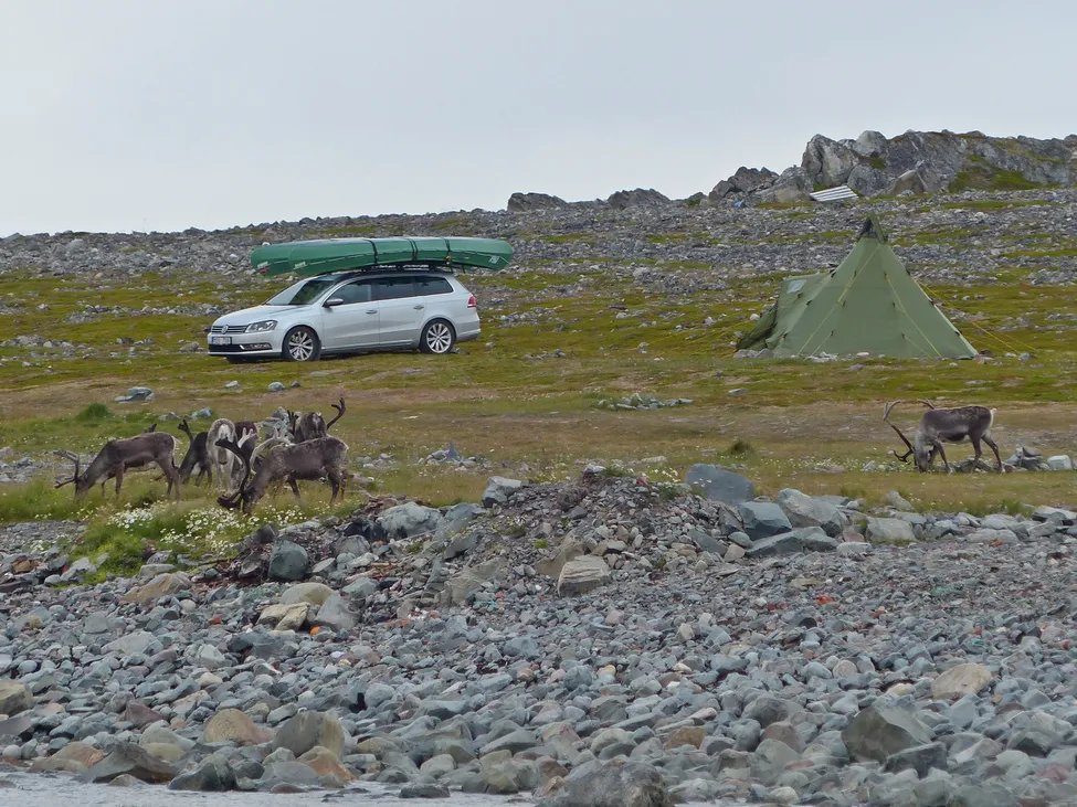 Klicka för att förstora