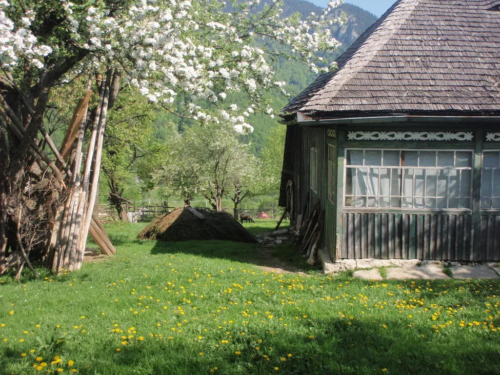 Klicka för att förstora