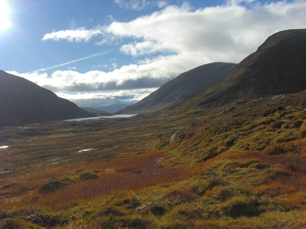 Klicka för att förstora