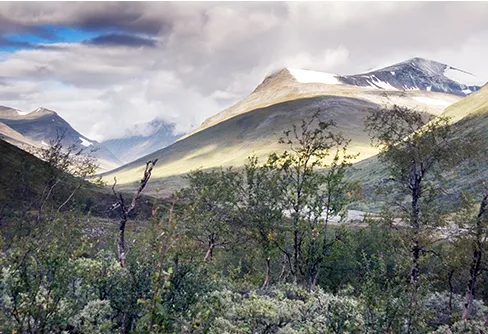 Fem dagar i Sarek med nitton dagars omväg