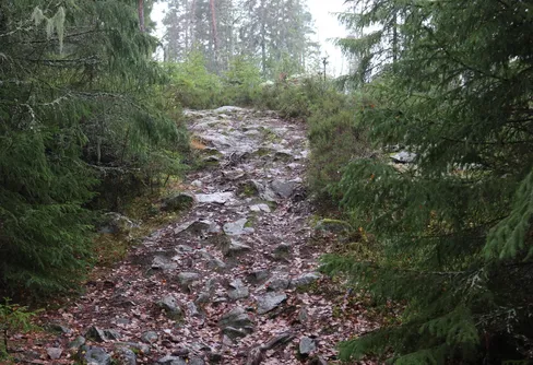 Solo igen -Lunnedsleden