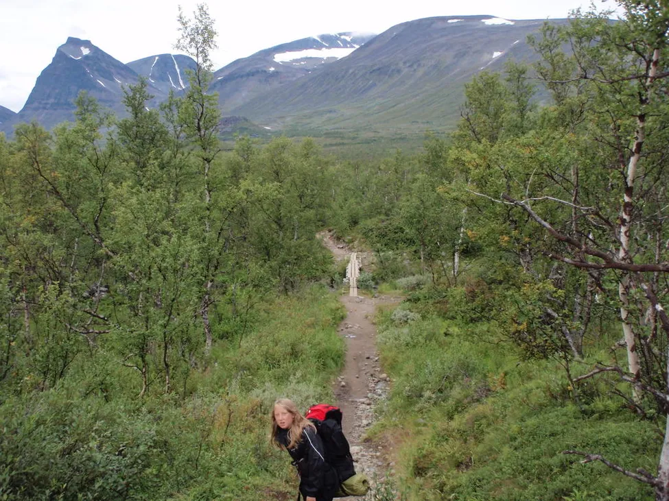 Klicka för att förstora