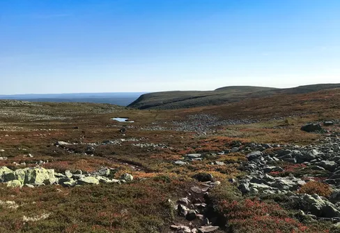 Sensommar på Fulufjället