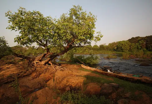 15 Dagar Längs Nigerfloden  del 3 (Dag 11-15)