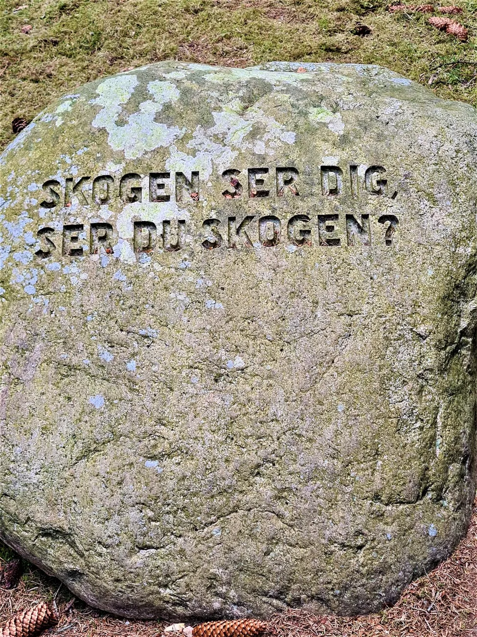 Klicka för att förstora