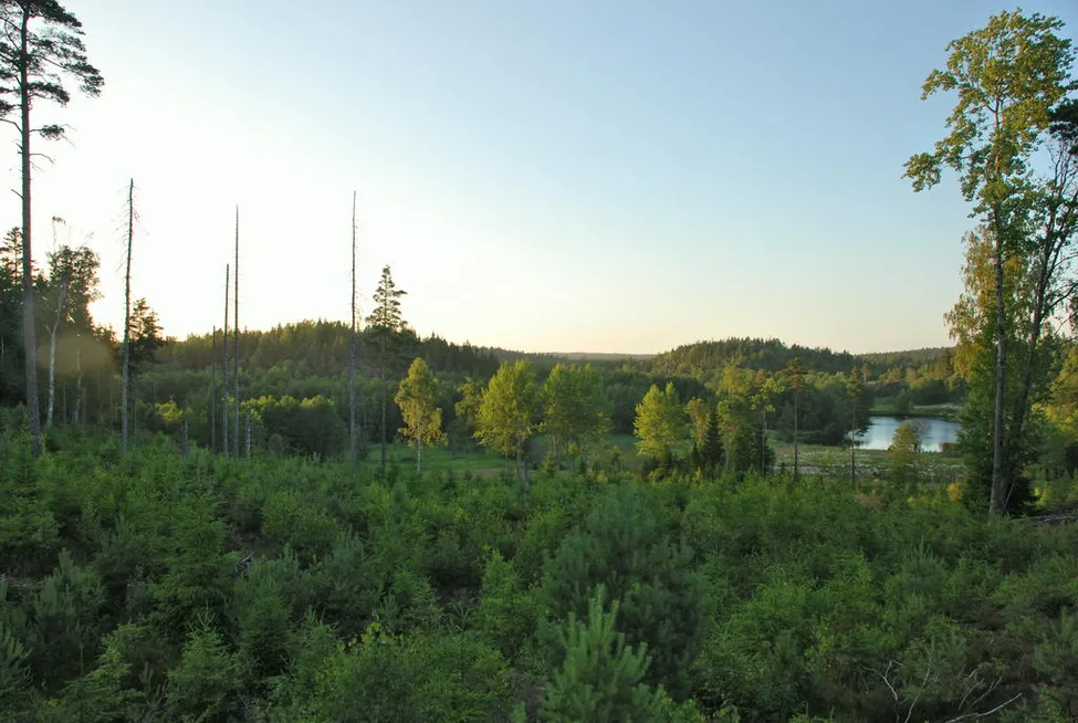 Klicka för att förstora