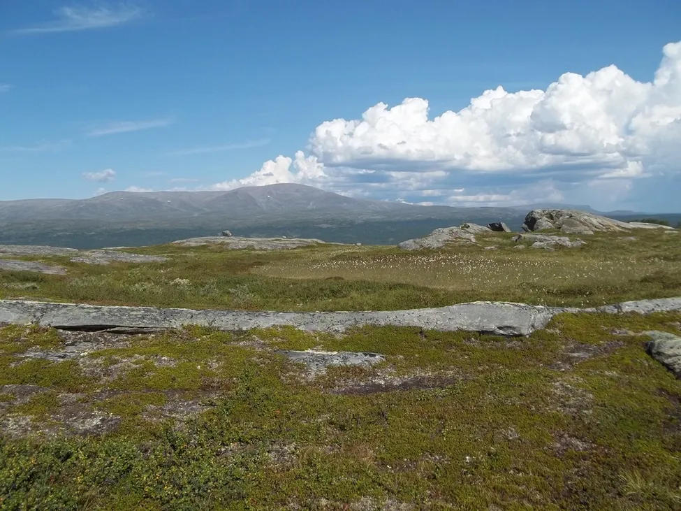 Klicka för att förstora