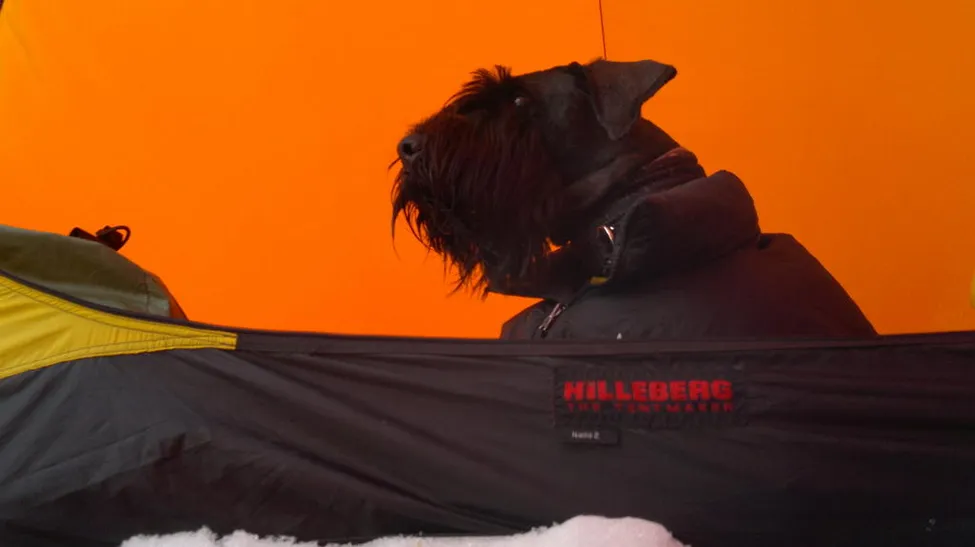 Klicka för att förstora