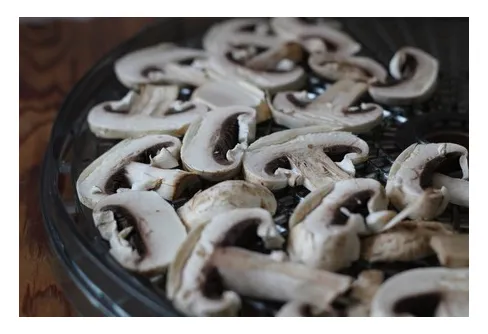 Bästa sättet att torka svamp