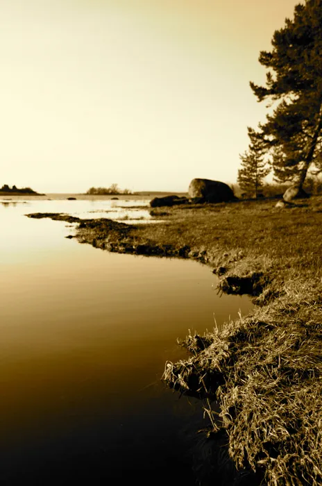 Klicka för att förstora