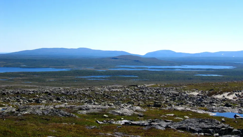 Klicka för att förstora