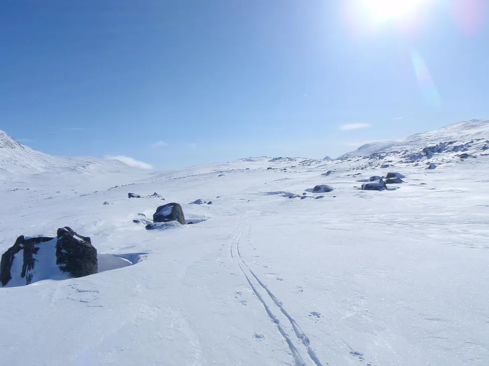 Klicka för att förstora