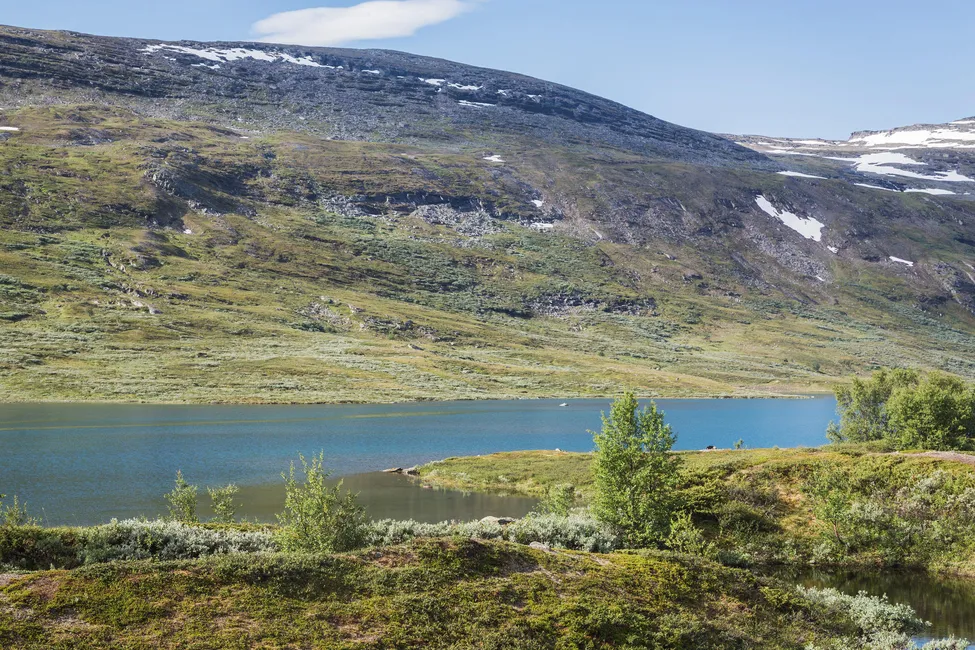 Klicka för att förstora