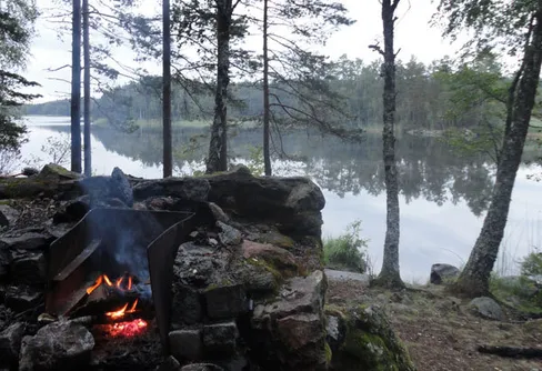 Långhelg i skogen med regn och vattendjur