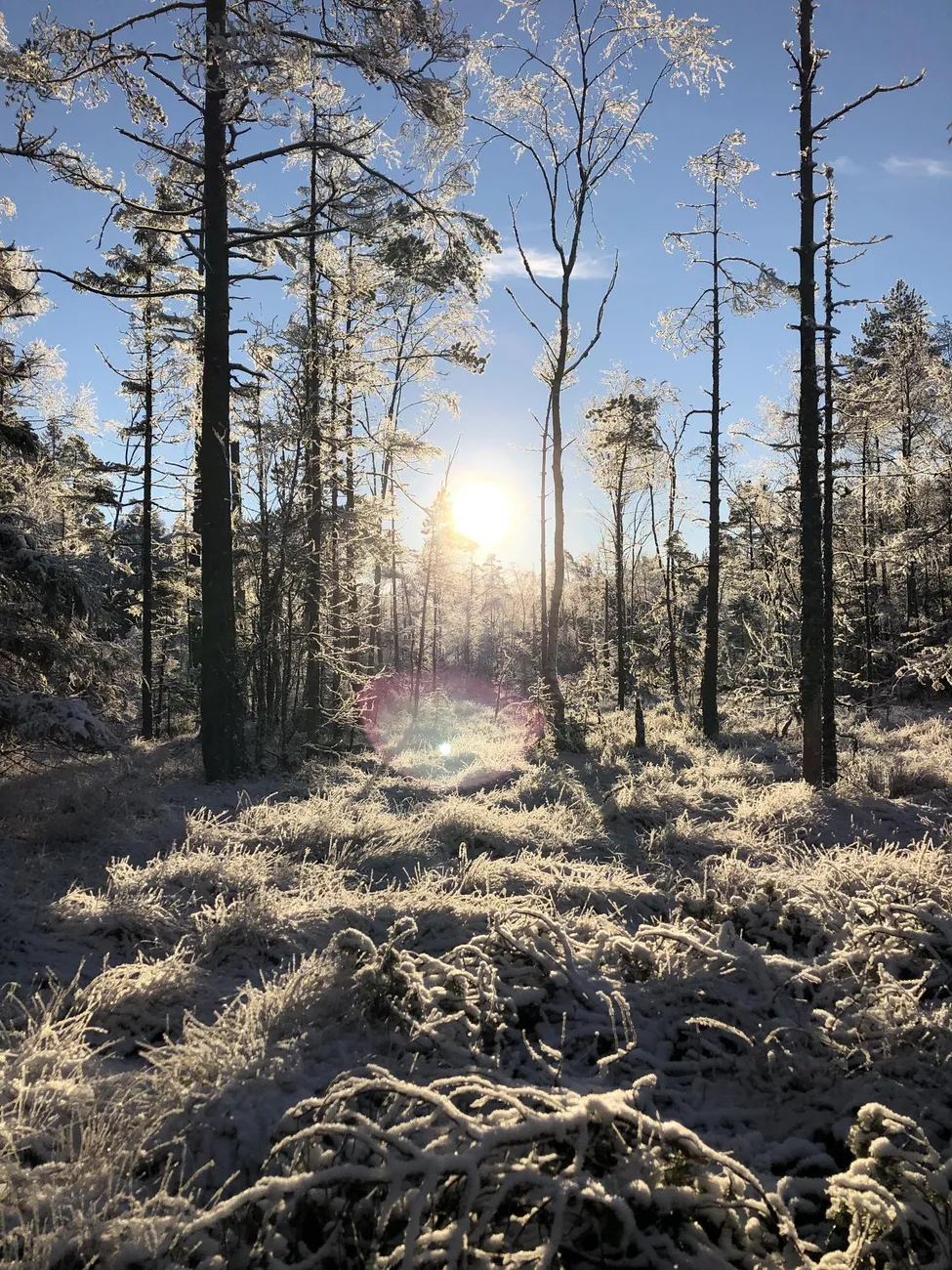Klicka för att förstora