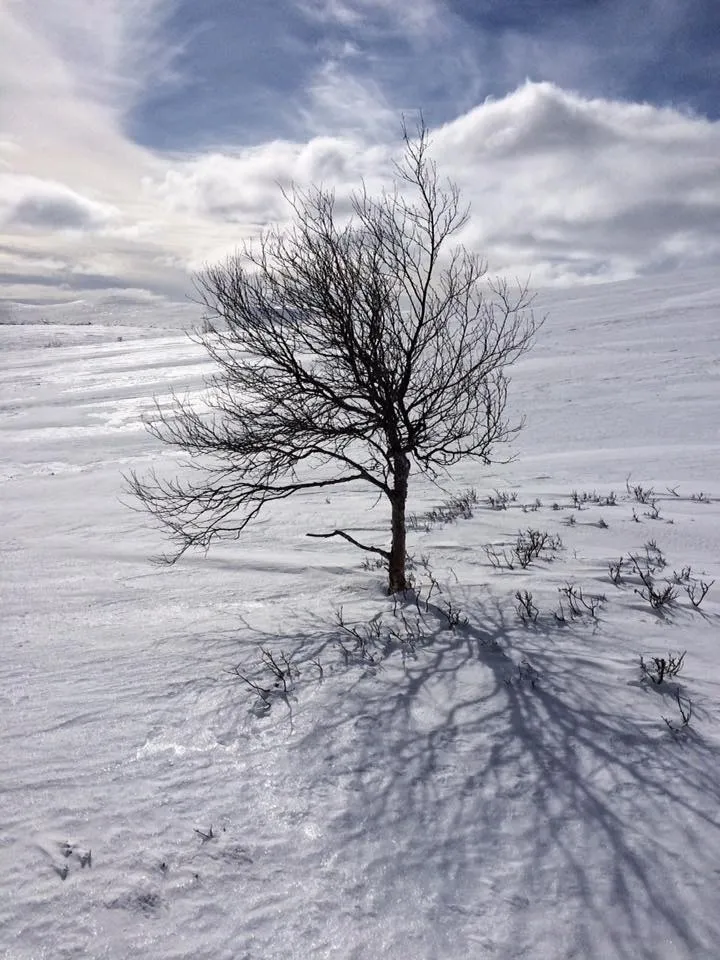 Klicka för att förstora