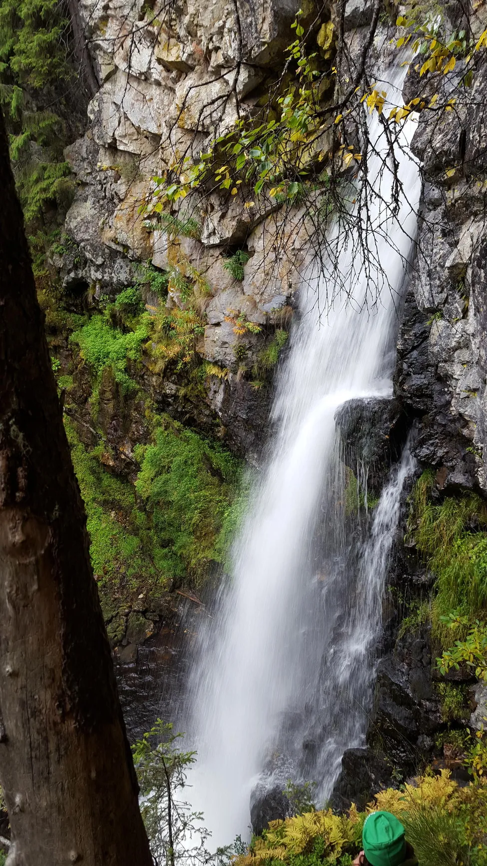 Klicka för att förstora