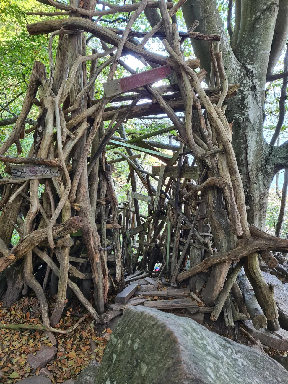 Klicka för att förstora