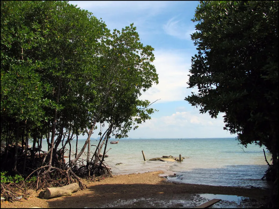 Klicka för att förstora
