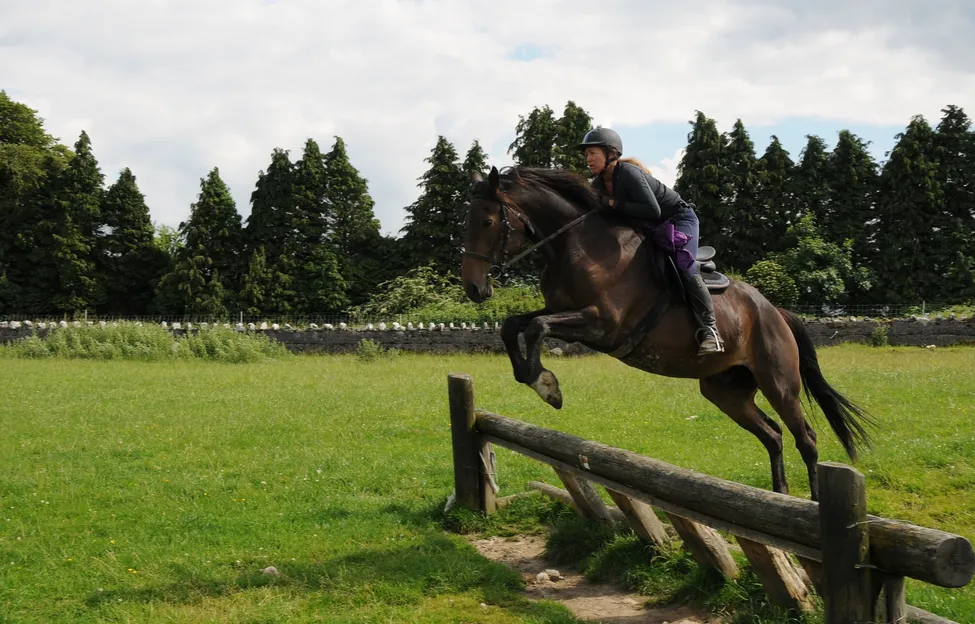 Klicka för att förstora