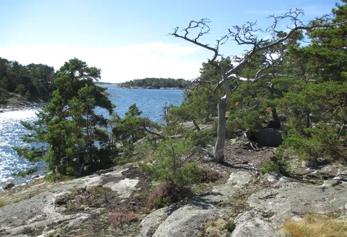 Nu startar arbetet för att bilda en nationalpark i Nämdöskärgården
