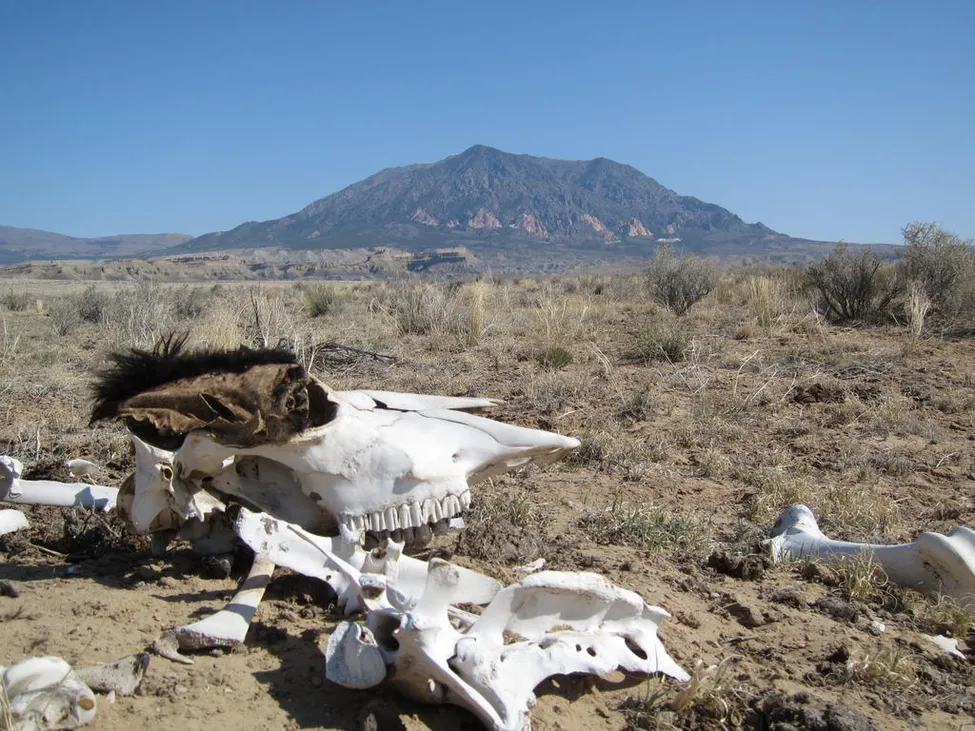 Klicka för att förstora