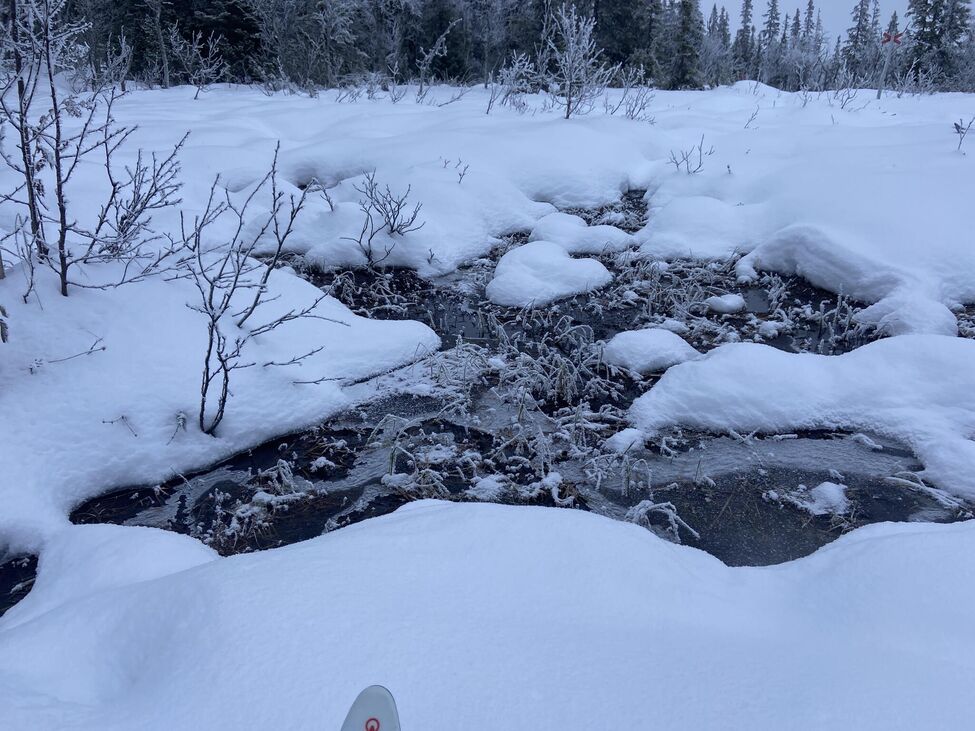 Klicka för att förstora