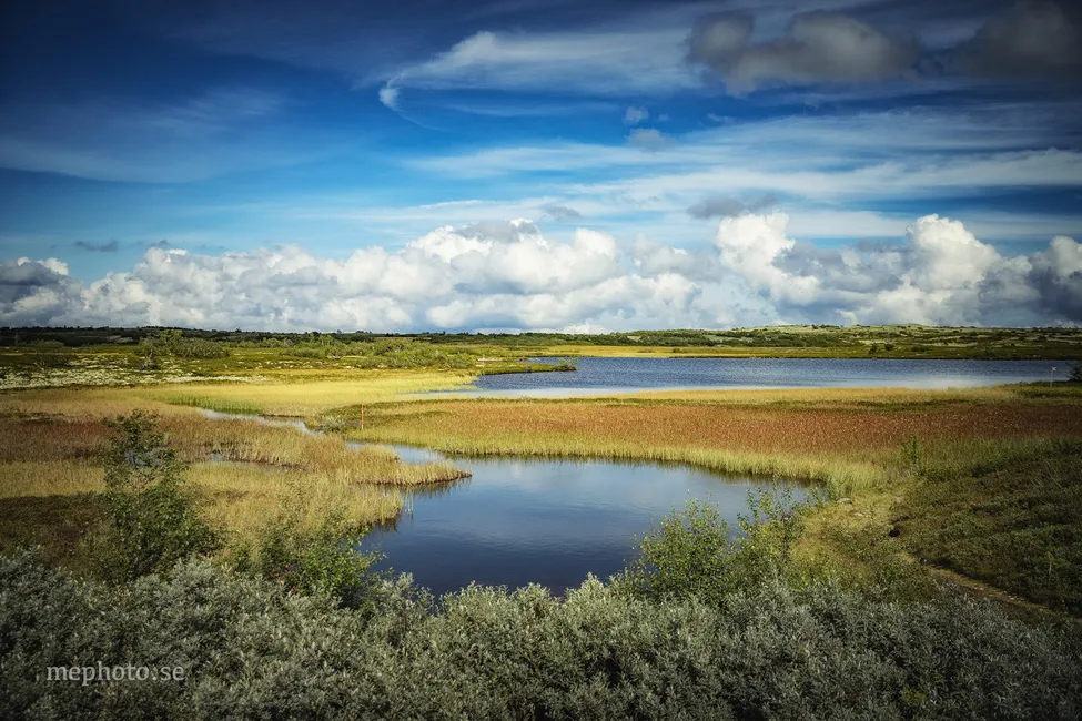 Klicka för att förstora
